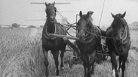 Zlatá dvacátá - 6/10 Kdo má půdu, ten vládne