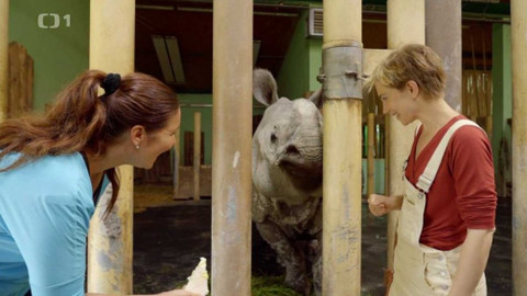 Všechno, co mám ráda - Epizoda 120/45