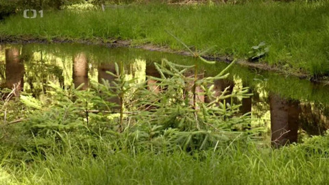 Kapka vody - Louže a kaluže