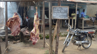 Na cestě po západní Ugandě