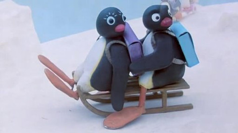 Pingu - Pingu ve škole