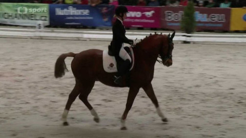 Jezdectví - Jezdecký festival Lysá nad Labem