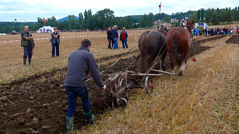Malá farma - Orba koněm