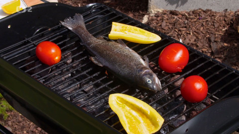 Cestou za chutěmi - Pstruzi