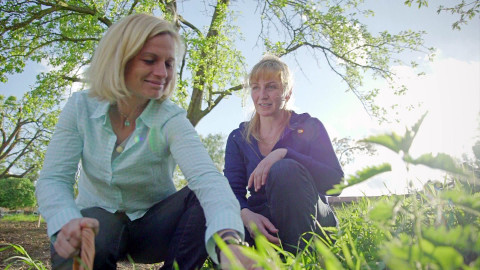 Kouzelné bylinky - Vlasy, koruna krásy