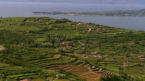 Putování za vínem - 12/16 Slovinsko I.