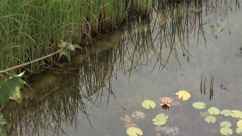 Polopatě - 11. září 2022