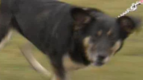 Chcete mě? - Chcete je?