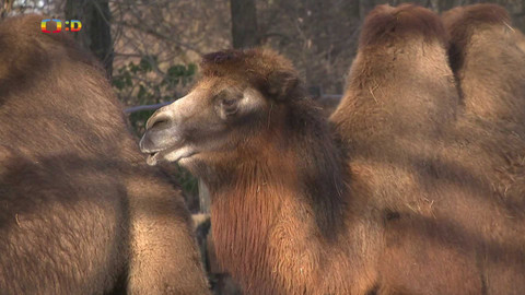 Zprávičky - 7. ledna