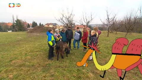 Náš zvěřinec - Primáti