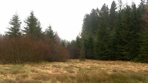 Nedej se! - Kupte si Místo pro přírodu