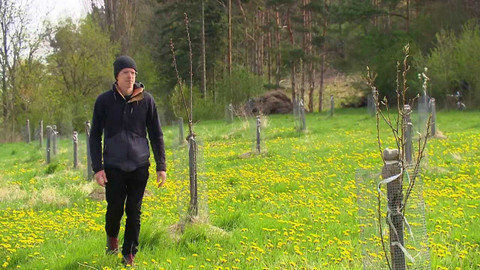 Náš venkov - Ovocné sady a aleje