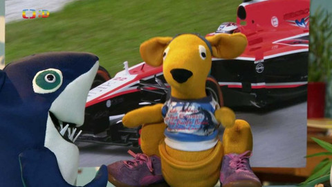 Medvídkova poradna - 21/25 Jak u klokanů hořelo