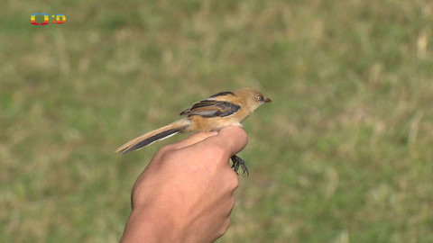 Zprávičky - 2. srpna 2024