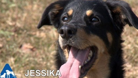 Chcete mě? - Chcete je?