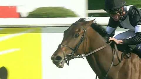 Turf - 7. května 2014