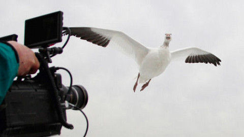 Na ptačích křídlech kolem světa - 6/6 Létání ve výškách