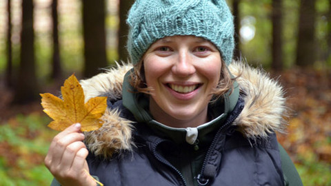 Malá farma - V korunách stromů