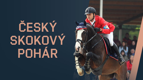 Český skokový pohár