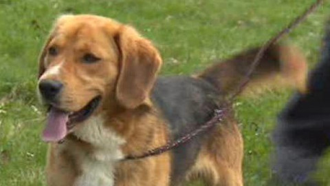 Chcete mě? - Chcete je?