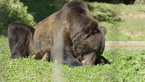 Objektiv - 2. dubna 2023