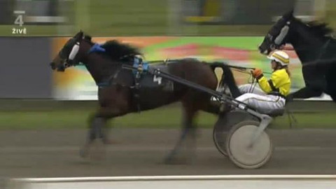 Jezdectví - Klusácký Sant Leger