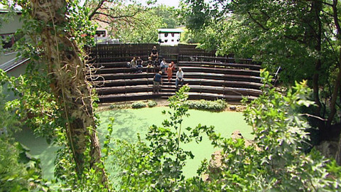 Z metropole - Lesní divadla