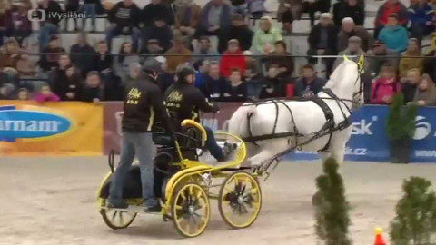 Jezdectví - Jezdecký festival v Lysé nad Labem