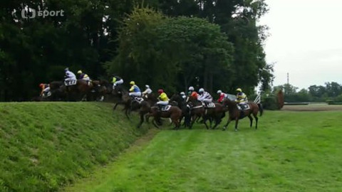 Turf - 27. srpna 2014