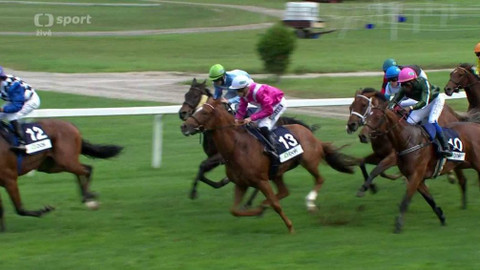 Dostihy - Evropský pohár žokejů 2019