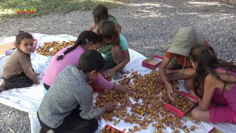 Zprávičky - 17. ledna 2023