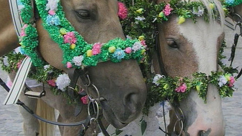 Folklorika - Růže pro krála