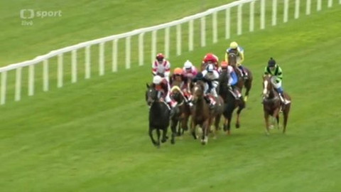 Jezdectví - Cena prezidenta republiky