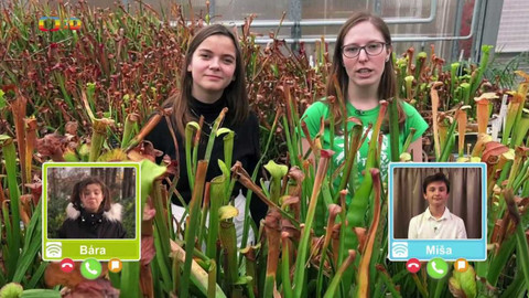 Wifina - 28. ledna 2022