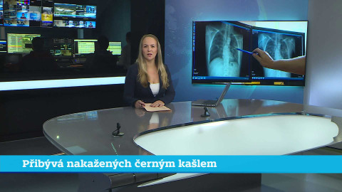 Události v regionech (jih a západ) - 13. února 2024