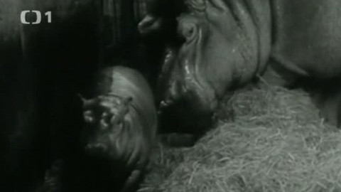 Kdy to bylo - Kdy to bylo - soutěžní otázka