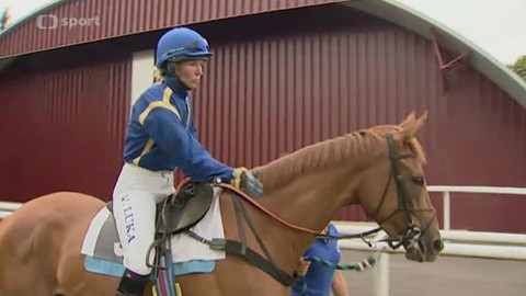 Turf - 21. srpna 2013