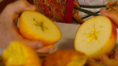 Televizní klub neslyšících - 23. prosince 2008