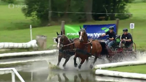 Jezdectví - Finále Zlaté podkovy 2014 Humpolec
