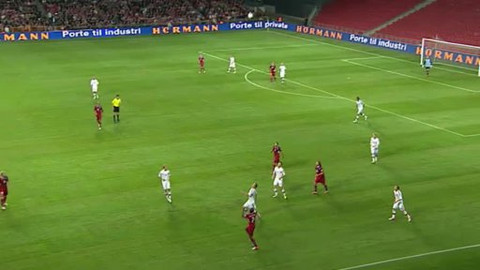 Fotbal - Dánsko - Česko