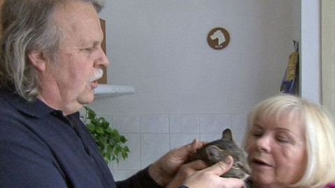 Náš venkov - Venkovský zvěrolékař