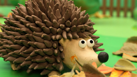 Žížaláci - Ježek