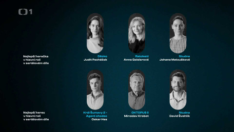 Český lev - Nejlepší herec/herečka v hlavní roli v seriálovém díle