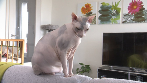 Chcete mě? - 3. února 2019