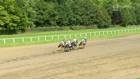 Dostihy - IV. kvalifikace na 131. Velkou pardubickou se Slavia pojišťovnou