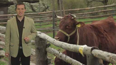 Tajemství zdravého života - 41/100 Mýty o biopotravinách