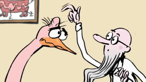 Doktor Animo - 9/13 Jak nechtěl datlík klovat