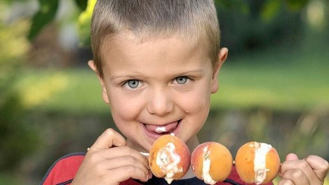 Kluci v akci - Neckyáda