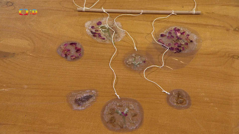 Šikulové - Velká výzva - 19. února