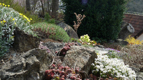 Zahrada pod lupou - 26. května 2012